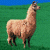 kex's Avatar
