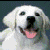 Lillebror's Avatar