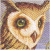 Computer_Freak's Avatar