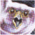 sayeed's Avatar