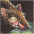 Ninad23's Avatar