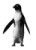 bishop's Avatar